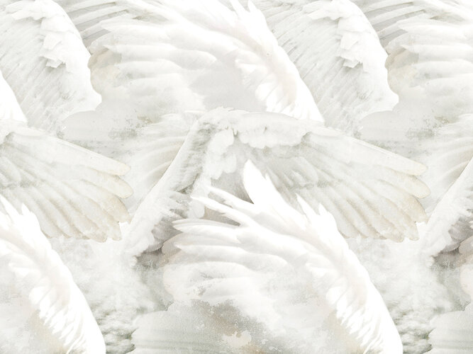 Tapeta Inkiostro Bianco Wings
