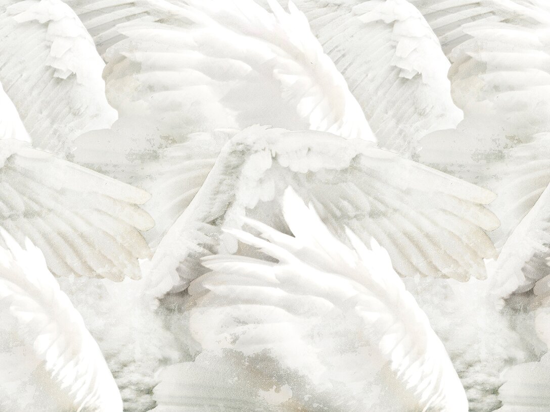 Tapeta Inkiostro Bianco Wings, materiał Vinyl