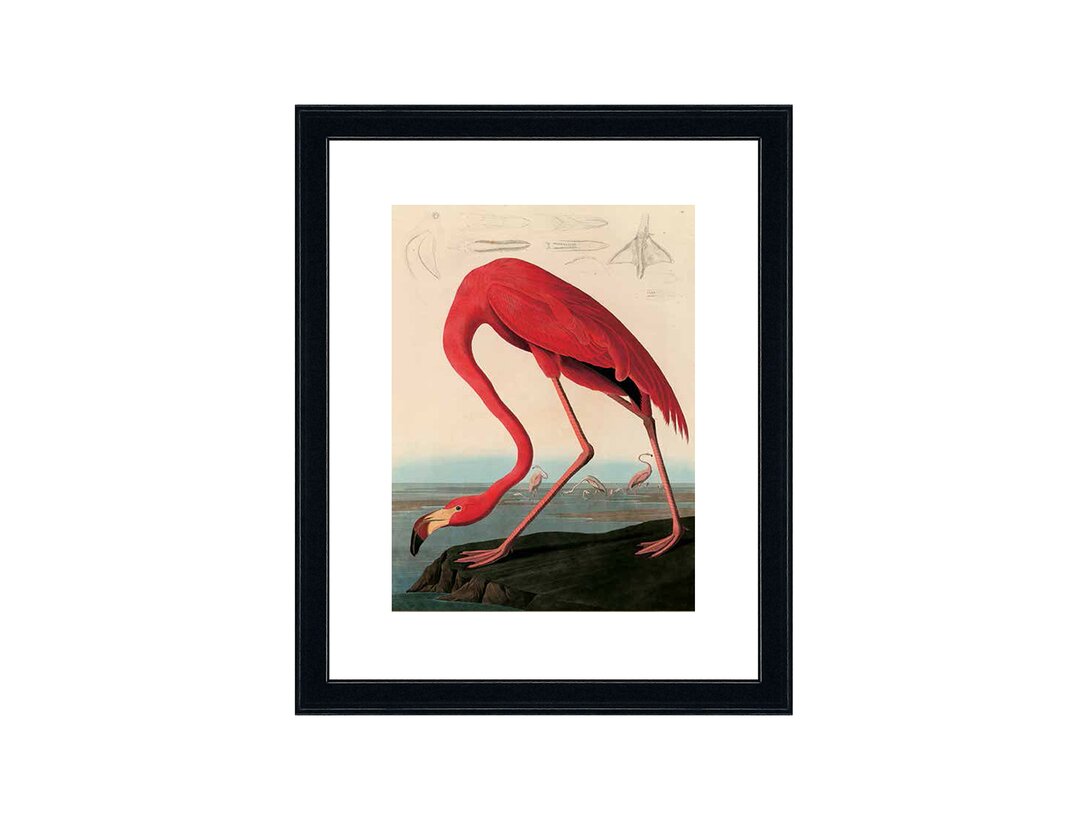 Obraz American Red Flamingo Kler Accessories