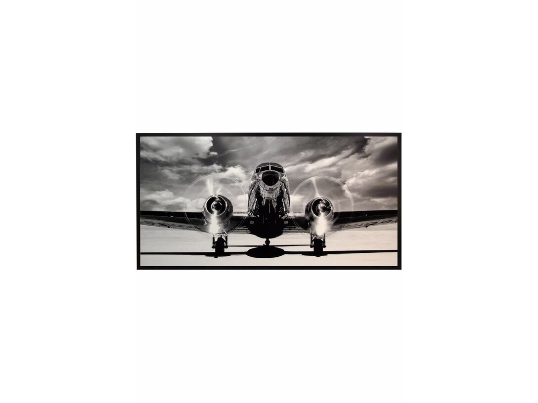 Obraz Jaguar Startujący samolot Kler Accessories