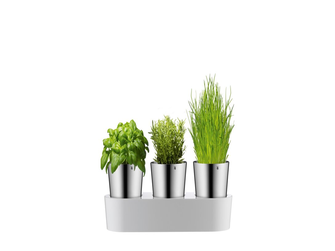 Zestaw 3 doniczek na zioła WMF Herbs 36 cm, kolor srebrny, materiał stal nierdzewna