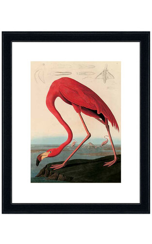 Obraz American Red Flamingo Kler Accessories