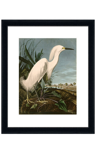 Obraz Snowy Heron or White Egret Kler Accessories