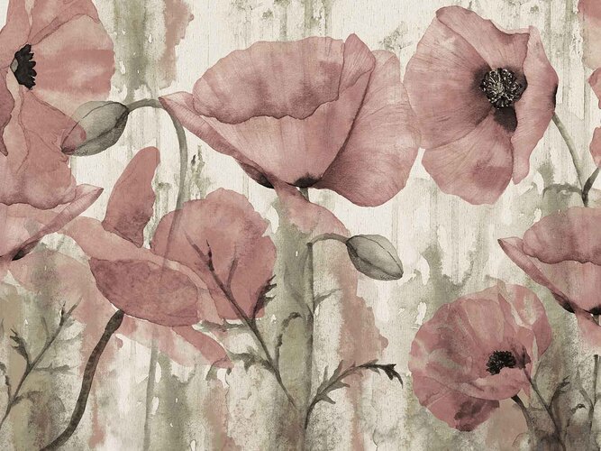 Tapeta One Wall Design Boccino