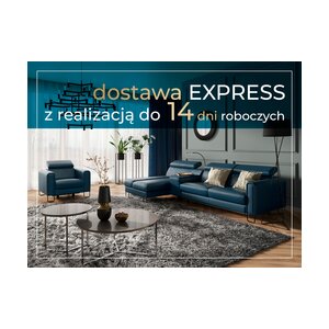 Dostawa express